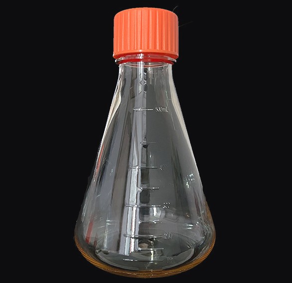 [SK-CELL-46] Erlenmeyer Flasks