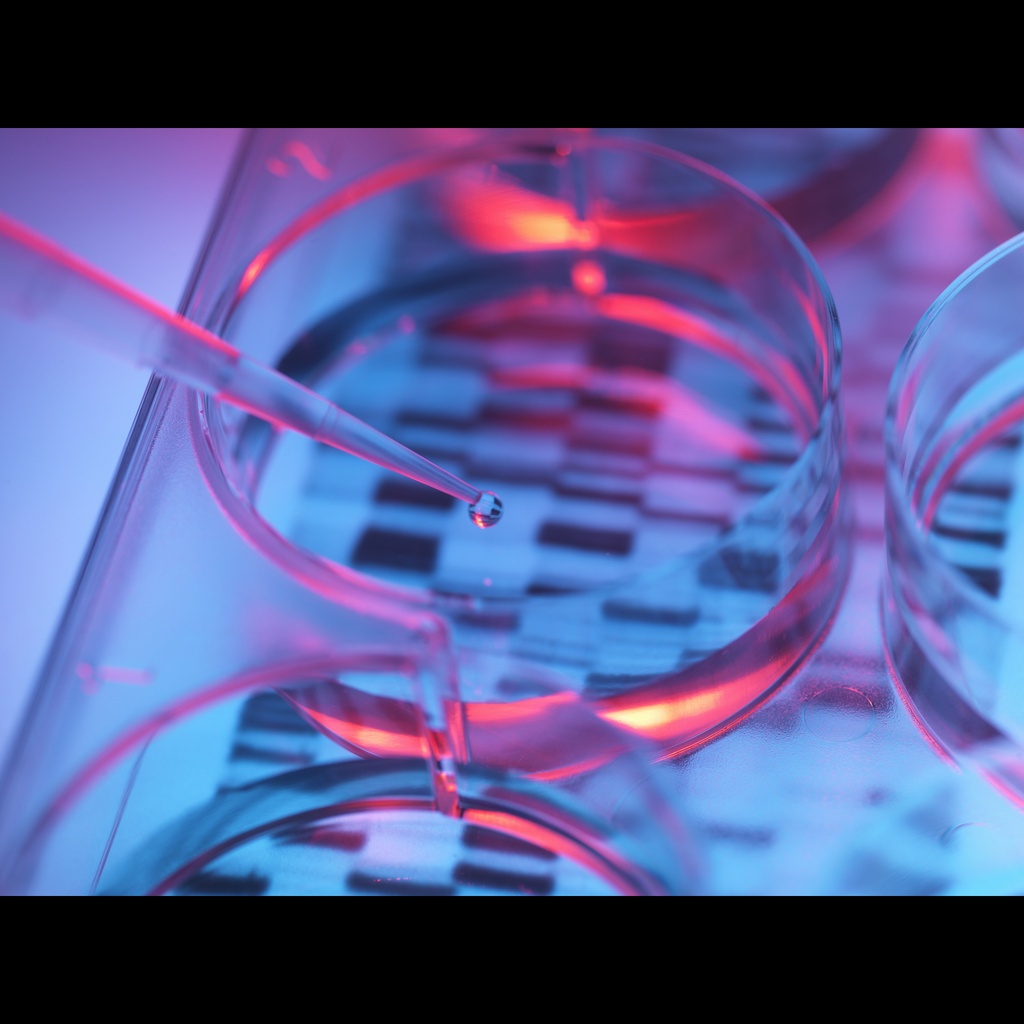 Amplirun® Haemophilus Influenzae DNA Control size: 10,000size:20,000 c/µL