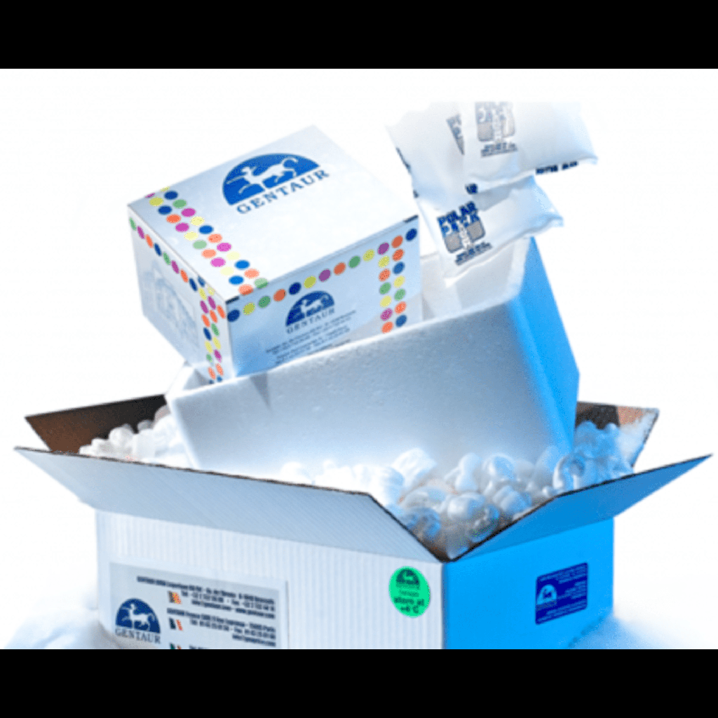 PCAMBIA1302, 2 ug